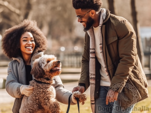 Forever Friends: The Unbreakable Bond Between a Dog and Their Human